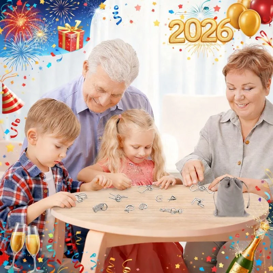 🎁 Metal Montessori Puzzle Solving